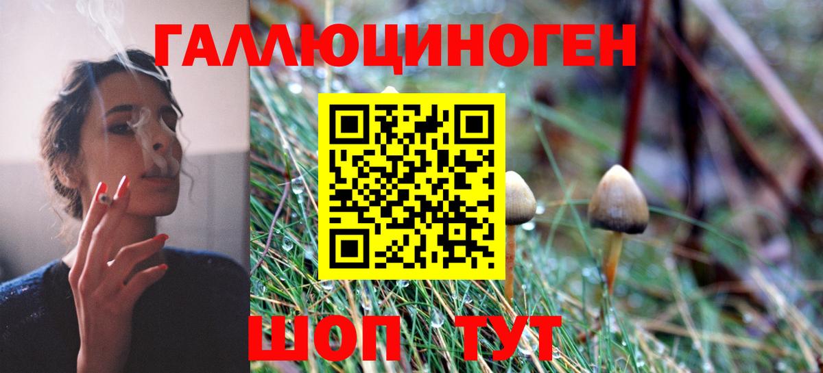 Буйнакск  Галлюциногенные грибы Psilocybe  Вход с VPN 